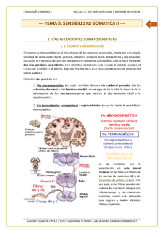 Tema-8.pdf