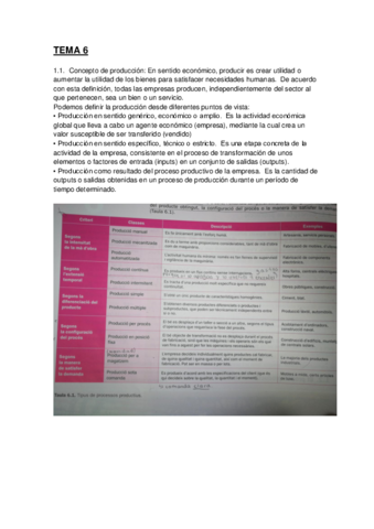 TEMA-6-.pdf
