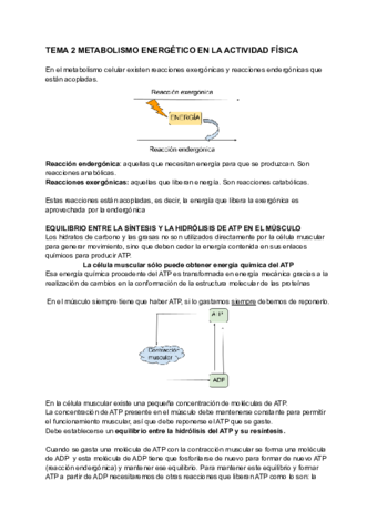 TEMA-2-METABOLISMO-ENERGETICO-EN-LA-ACTIVIDAD-FISICA.pdf