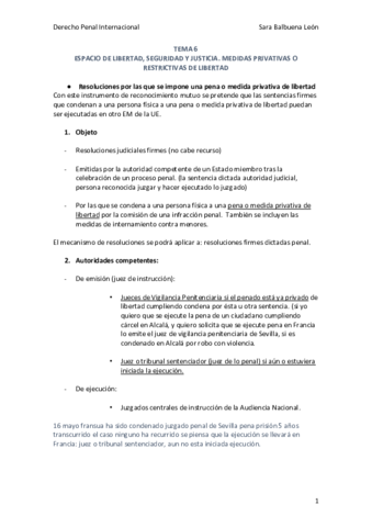 TEMA-6-Derecho-Penal-Internacional.pdf