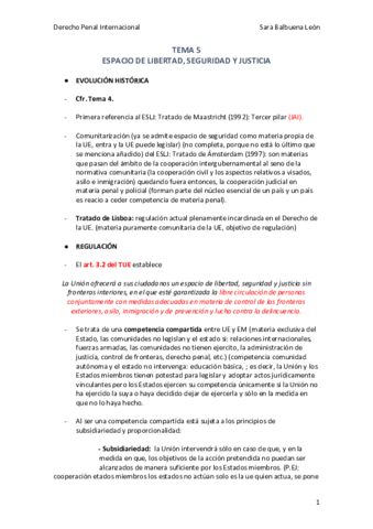 TEMA-5-Derecho-Penal-Internacional.pdf