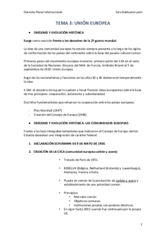 TEMA-3-Derecho-Penal-Internacional.pdf