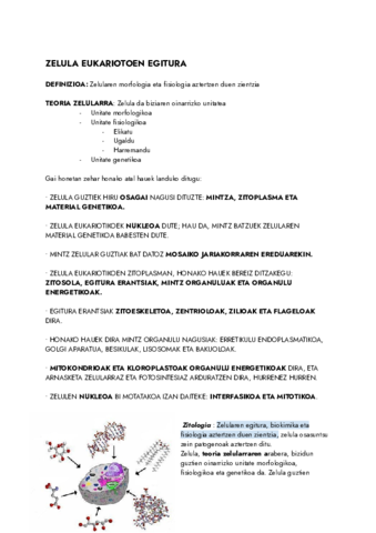 ZITOLOGIA-Documentos-de-Google.pdf