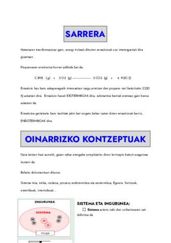 LEHEN-PRINTZIPIOA-Documentos-de-Google.pdf