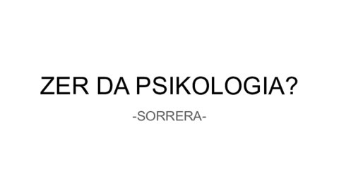 ZER-DA--SORRERA.pdf