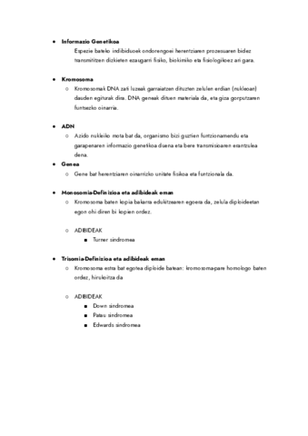 DEFINIZIOAK-Documentos-de-Google.pdf