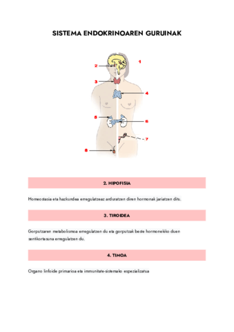 SISTEMA-ENDOKRIONAREN-GURUINAK-Documentos-de-Google.pdf