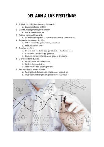 DEL-ADN-A-LAS-PROTEINAS.pdf