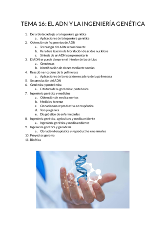 Tema-16-El-ADN-y-la-ingenieria-genetica.pdf
