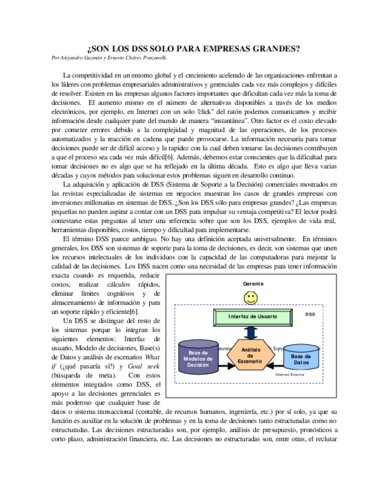 SonlosDSSsoloparalasgrandesempresas.pdf