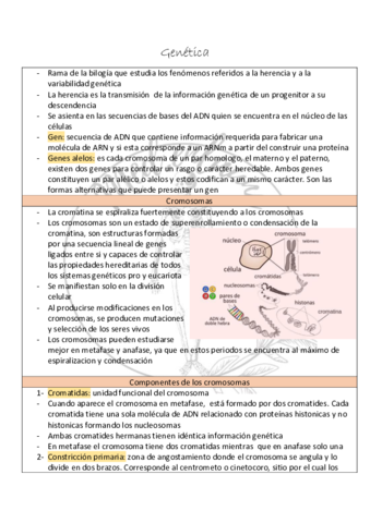 Genetica.pdf