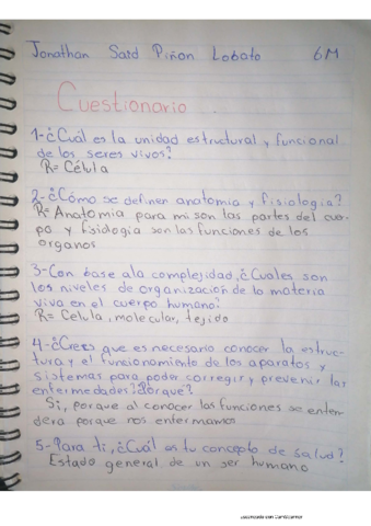 cuestionario.pdf