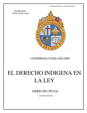 DERECHO-INDIGENA-EN-LA-LEY-DEL-DERECHO.pdf