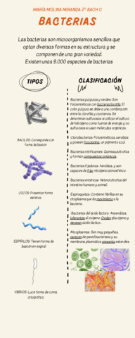 Copia-de-BACTERIAS.pdf