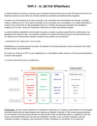 TEMA-5-Antonio-Baraybar.pdf