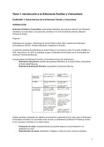 Tema-1-4-y-5-Comunitaria-II.pdf