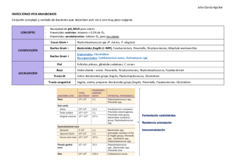 Infecciones-por-anaerobios.pdf