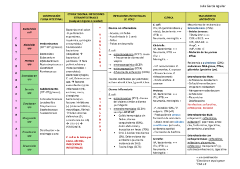 INFECCIONES-POR-BACILOS-GRAMNEGATIVOS.pdf
