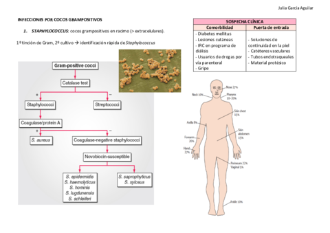 INFECCIONES-POR-COCOS-GRAMPOSITIVOS.pdf