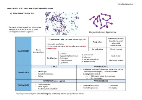 Infecciones-por-otras-bacterias-gram-positivas.pdf