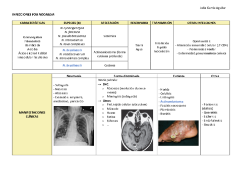 NOCARDIA.pdf