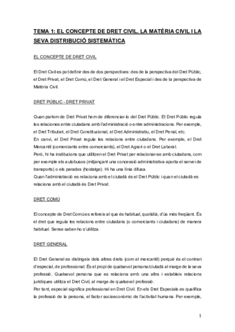 dret-civil.pdf