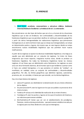 T4- andaluz actual.pdf
