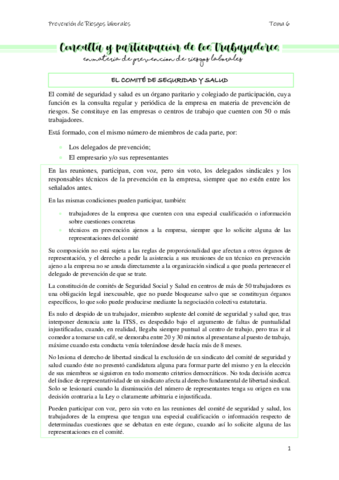 TEMA-6.pdf