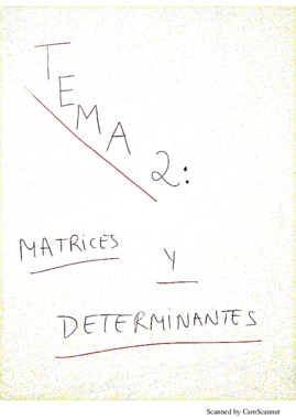 Tema 2 - Algebra.pdf