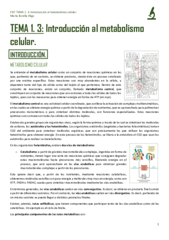 FSIT-TEMA-1.pdf