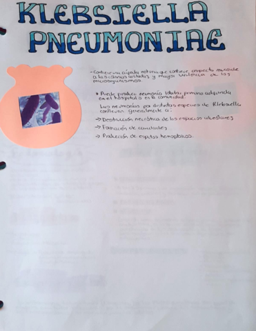 KLEBSIELLA-PNEUMONIAE.pdf