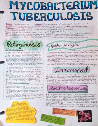 MYCOBACTERIUM-TUBERCULOSIS.pdf