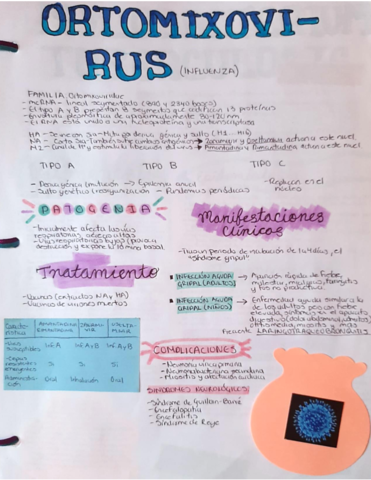 ORTOMIXOVIRUS.pdf