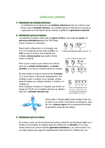 Trabajo-quimica-del-carbono.pdf