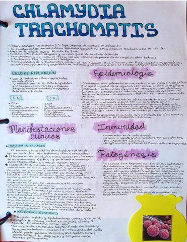 CHLAMYDIA-TRACHOMATIS.pdf