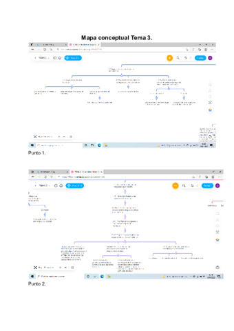 Mapa-conceptual-T3.pdf