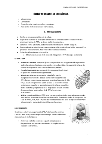 tema-10-org.pdf