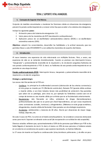 T1-Soporte-.pdf