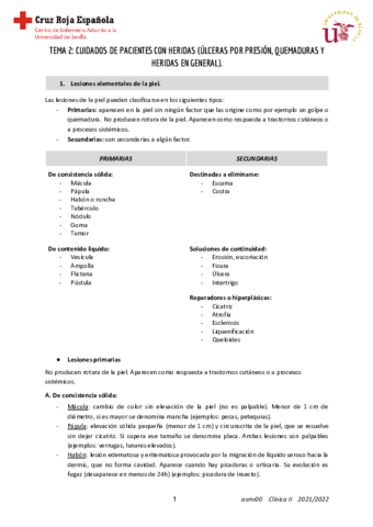 T2-CLINICA-II.pdf