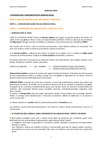 APUNTES-DERECHO-PENAL.pdf