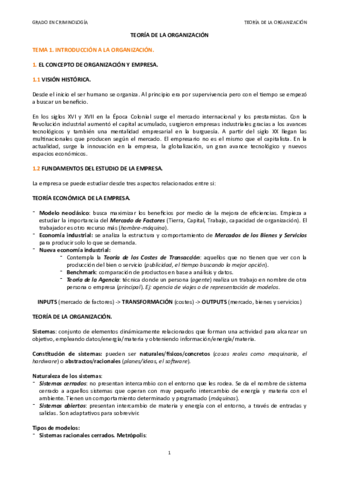 APUNTES-TEORIA-DE-LA-ORGANIZACION.pdf