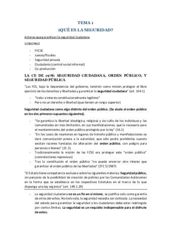 TEMA-1-QUE-ES-LA-SEGURIDAD.pdf