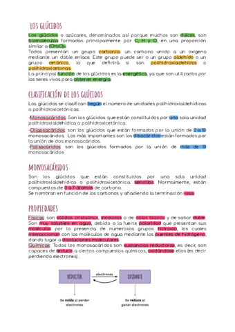 los-glucidos.pdf