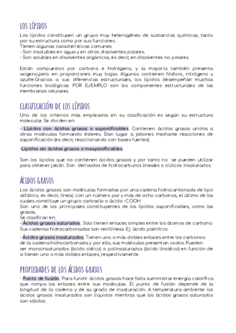 los-lipidos.pdf