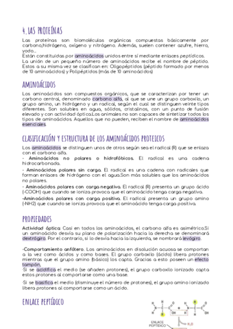 4.pdf