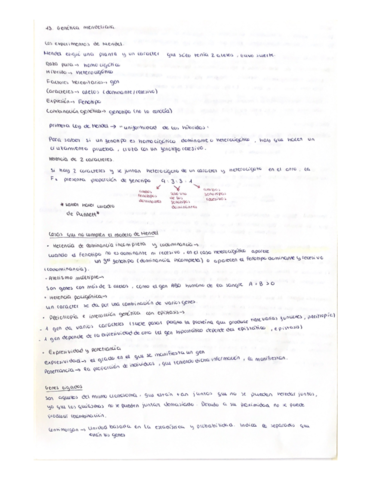 T.pdf