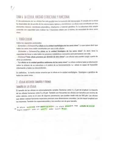 CITOLOGIA-6-7-Y-8.pdf