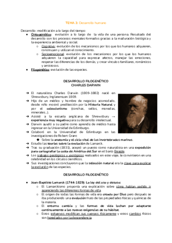 Tema-3-Historia.pdf