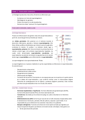 Bloque I