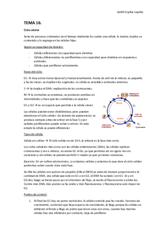 TEMA-16.pdf